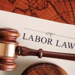 Labor_Employment_Law_2013_IMEC.jpg